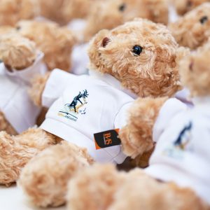 teddy_1